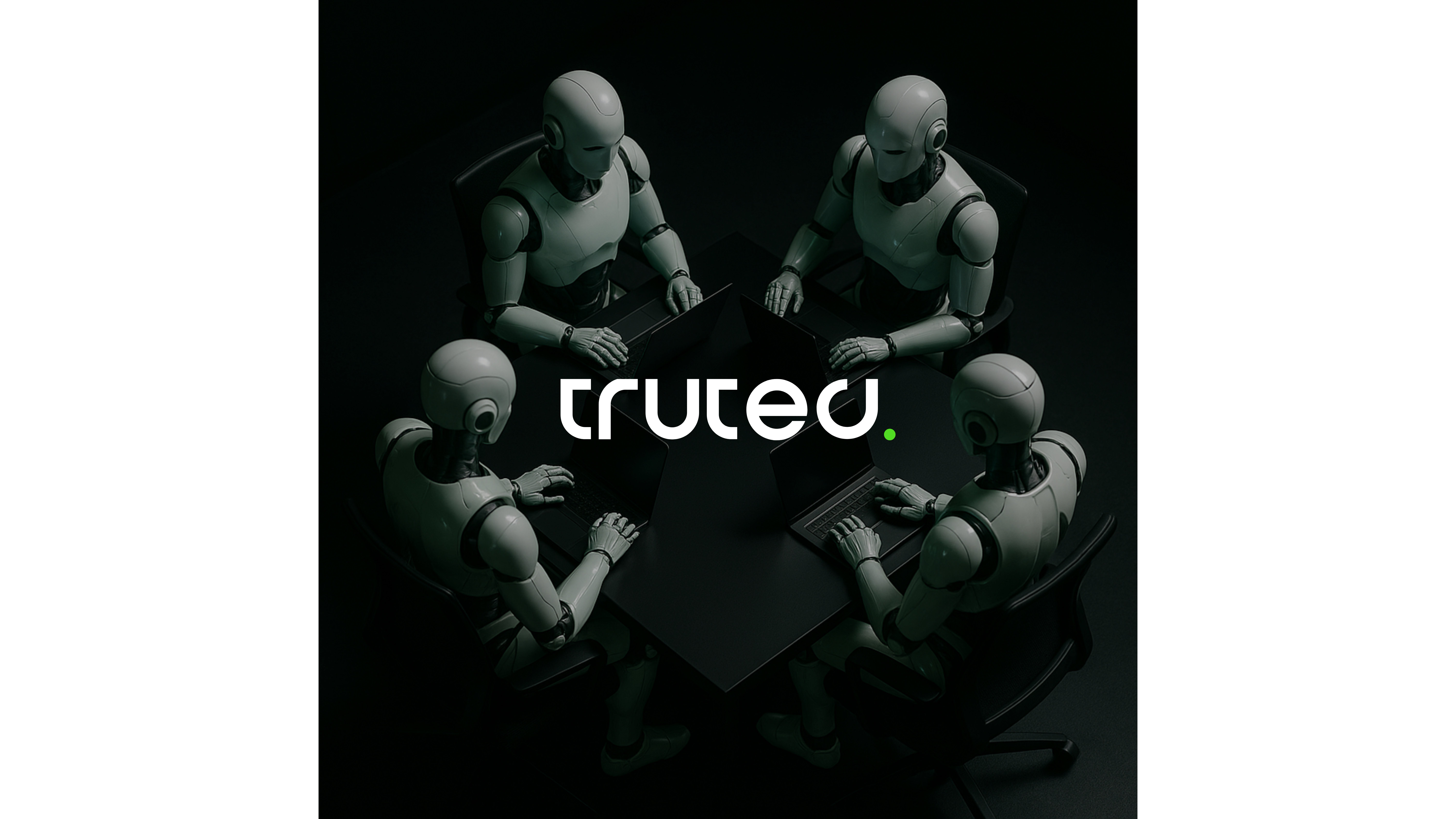 TruTed - Visual Guideline