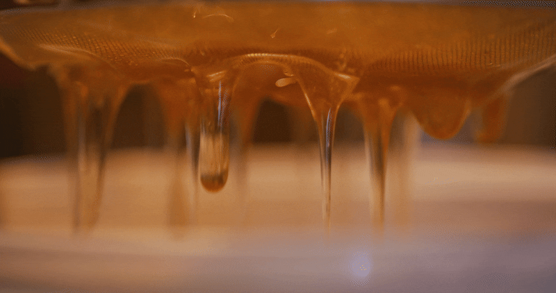 Honey pot 