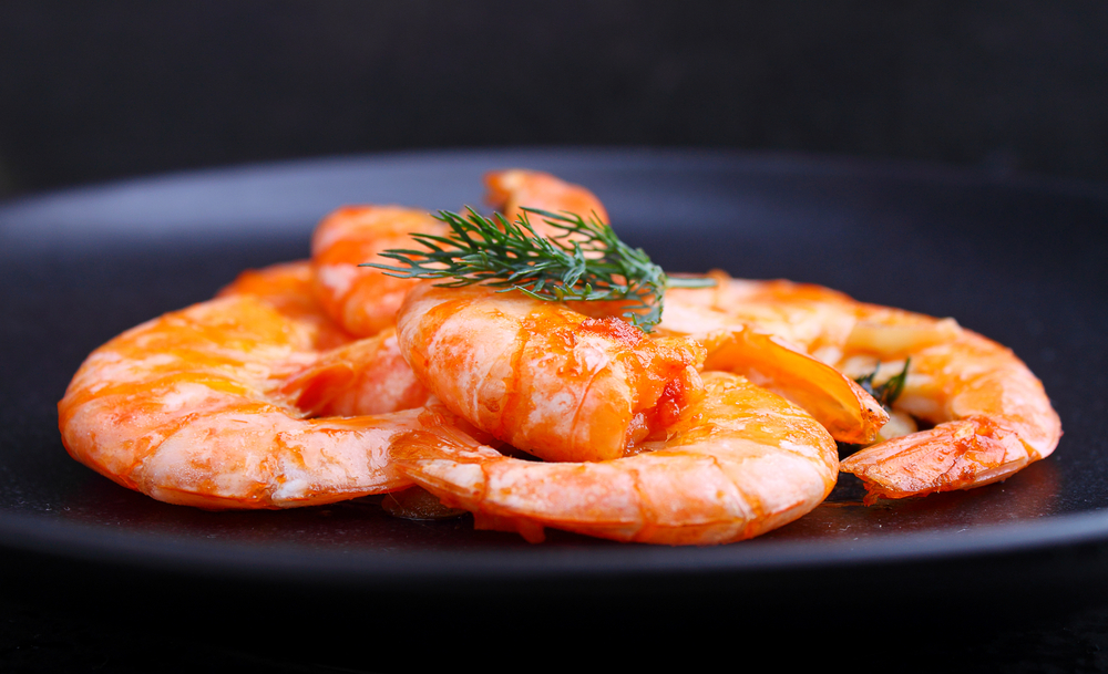 Shrimp Nation