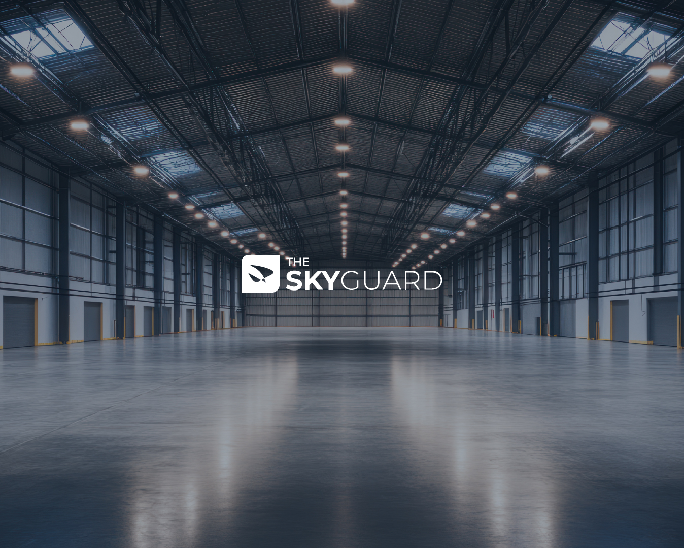 The Sky Guard – Branding