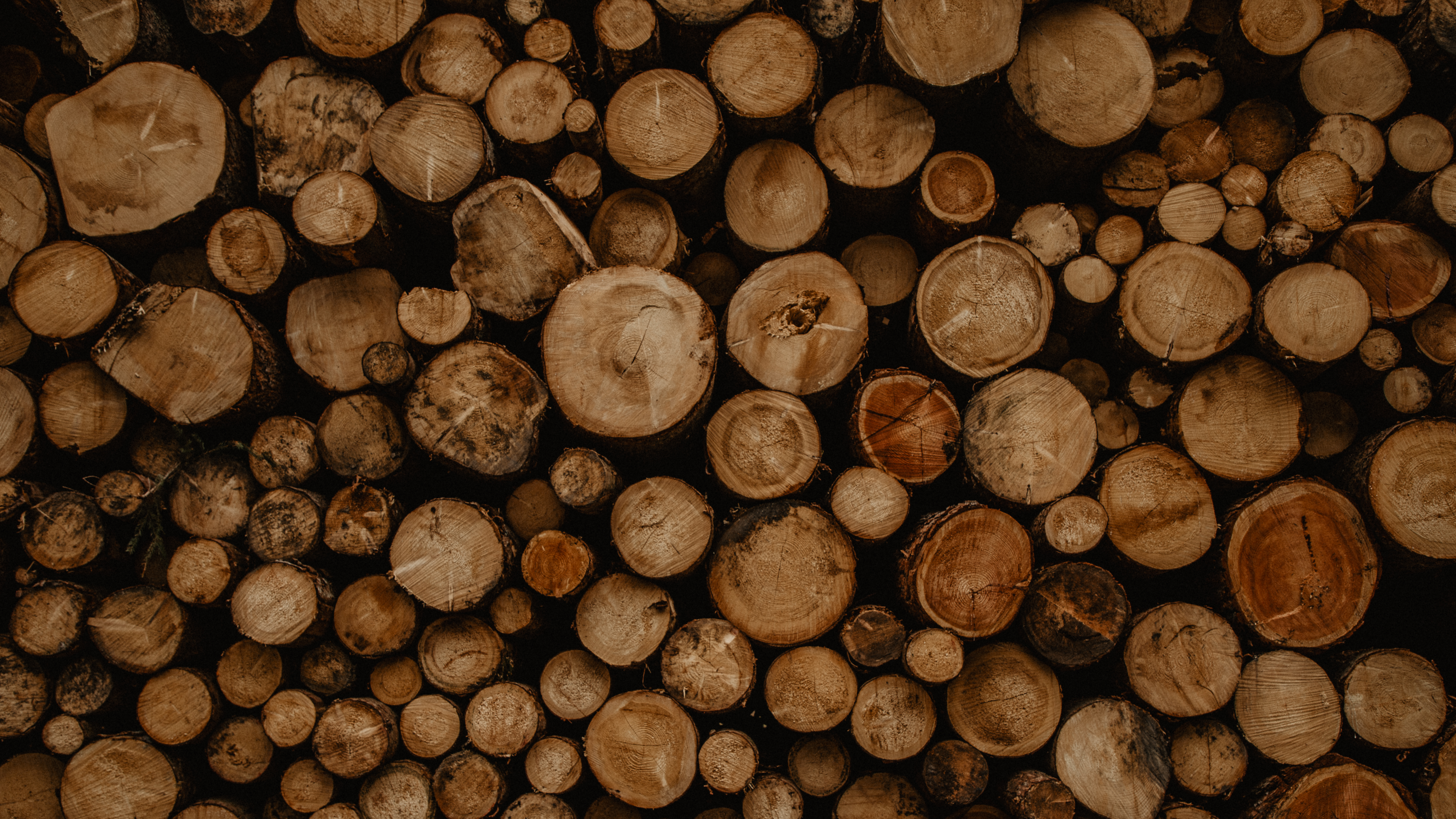 Alustoul Wood